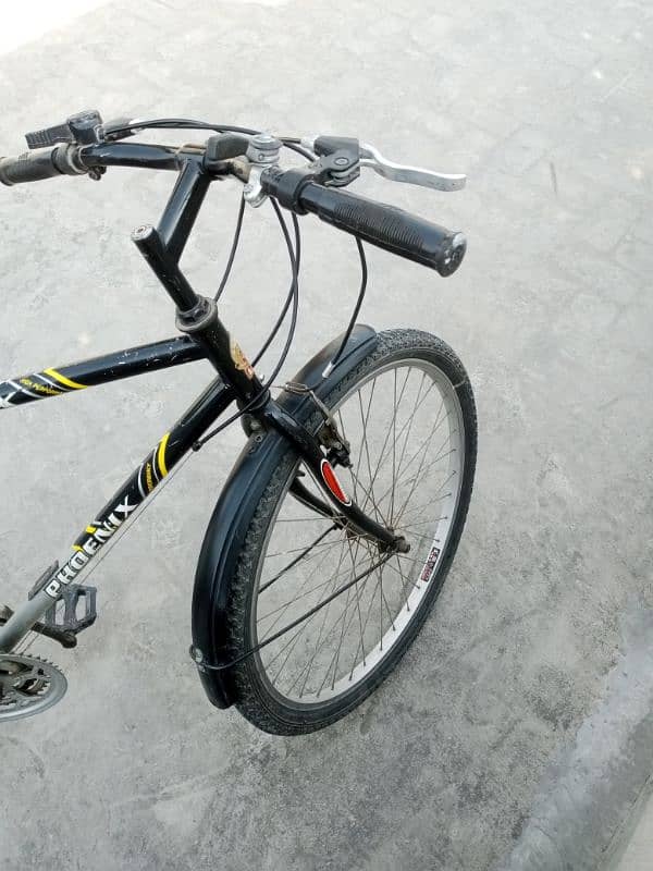 Phoenix Geared Bicycle | High Performance | Excellent Condition 6