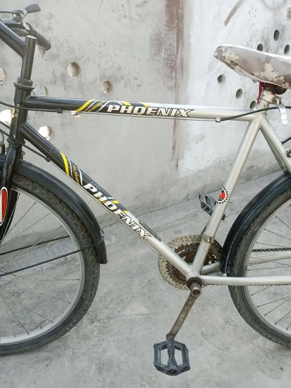 Phoenix Geared Bicycle | High Performance | Excellent Condition 9