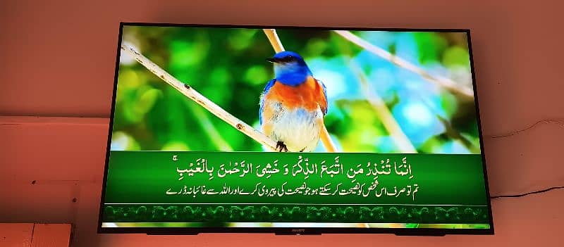 Sony bravia Android LED smart tv 55 inch 3