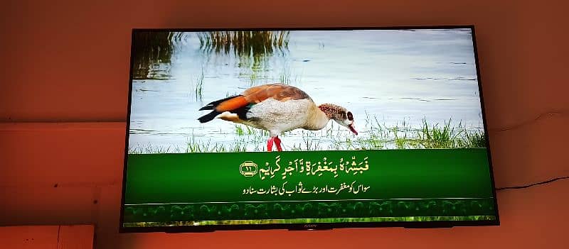 Sony bravia Android LED smart tv 55 inch 4