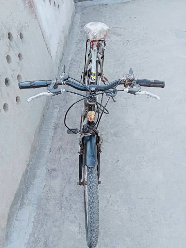 Phoenix High Performance | Geared Bicycle | Excellent Condition 1