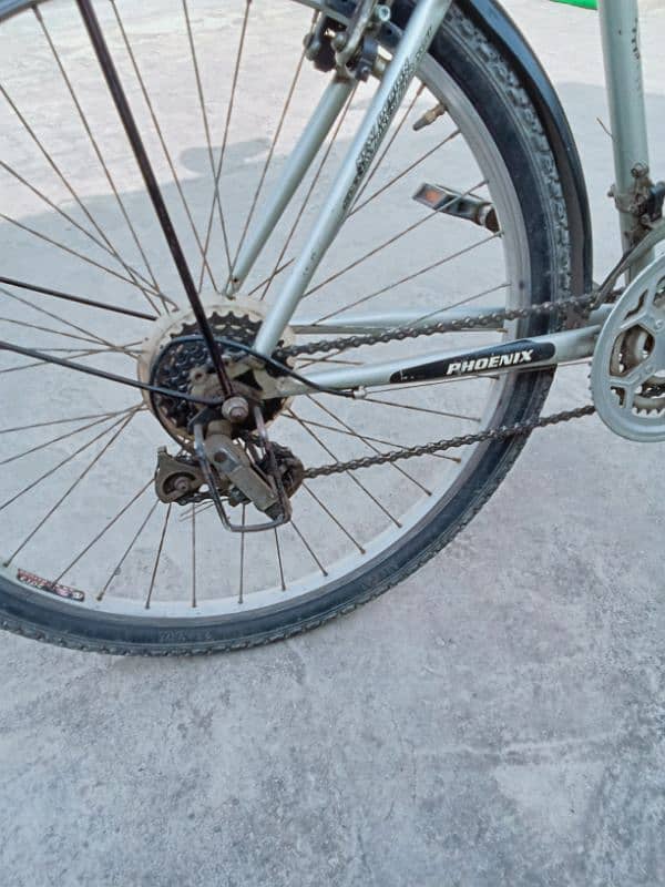 Phoenix High Performance | Geared Bicycle | Excellent Condition 2
