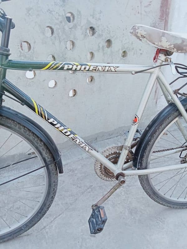 Phoenix High Performance | Geared Bicycle | Excellent Condition 5