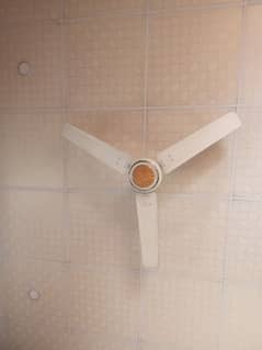 celling fan