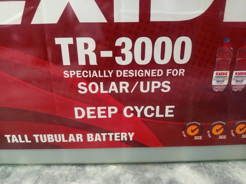 battery Tall Tubular, deep cycle 1