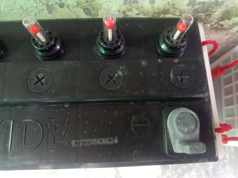 battery Tall Tubular, deep cycle 4