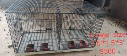 CAGES