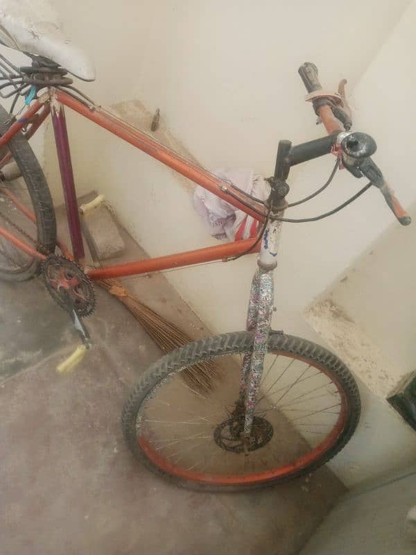 phonix Bicycle 0