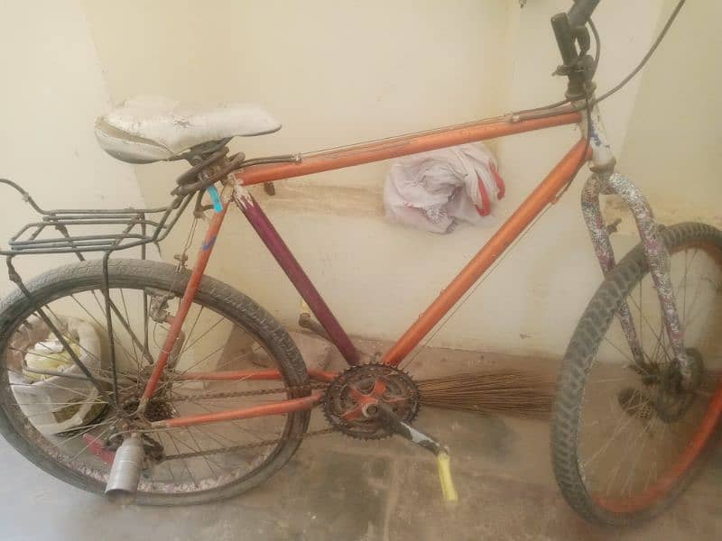 phonix Bicycle 1