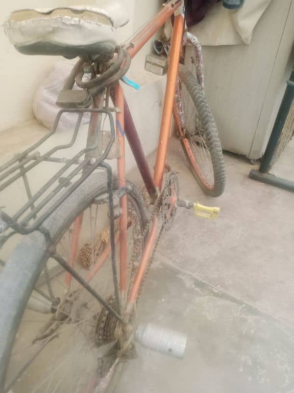 phonix Bicycle 3