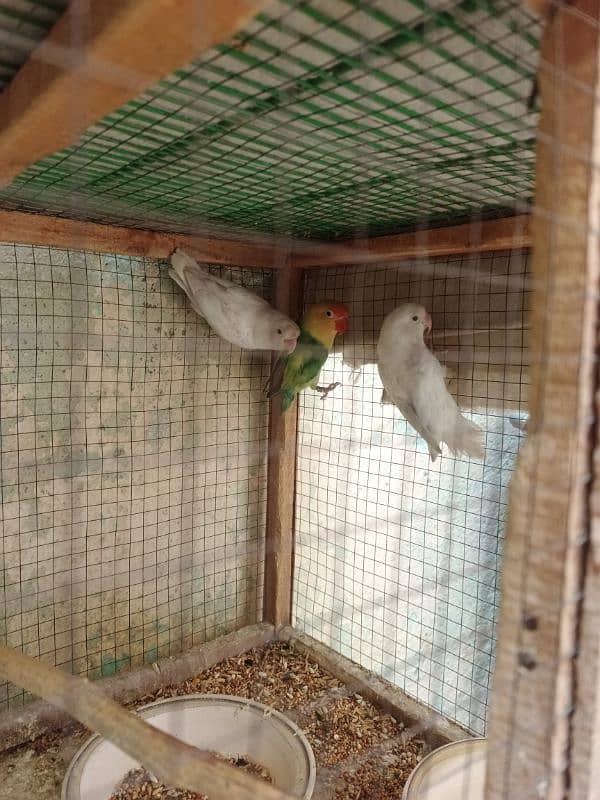 white pair for sale 0