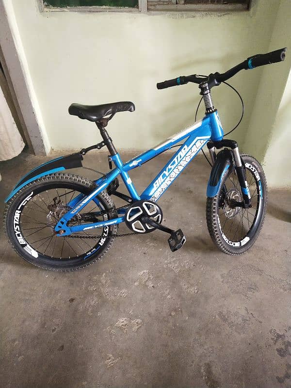 Mountain bike 0