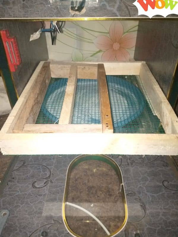 water proof Incubator Rs. 4000 and Brooder Box Rs. 2500 for Sale. 2