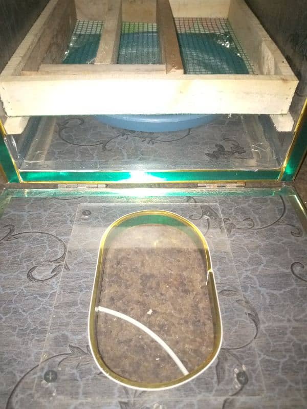 water proof Incubator Rs. 4000 and Brooder Box Rs. 2500 for Sale. 4