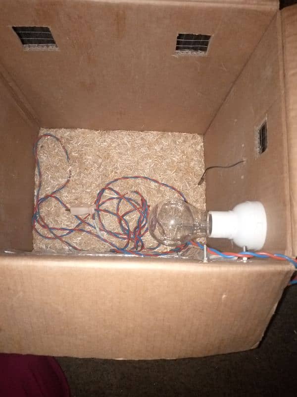 water proof Incubator Rs. 4000 and Brooder Box Rs. 2500 for Sale. 6