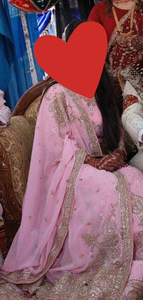 Lehnga choli 2