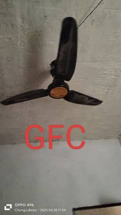 gfc fan