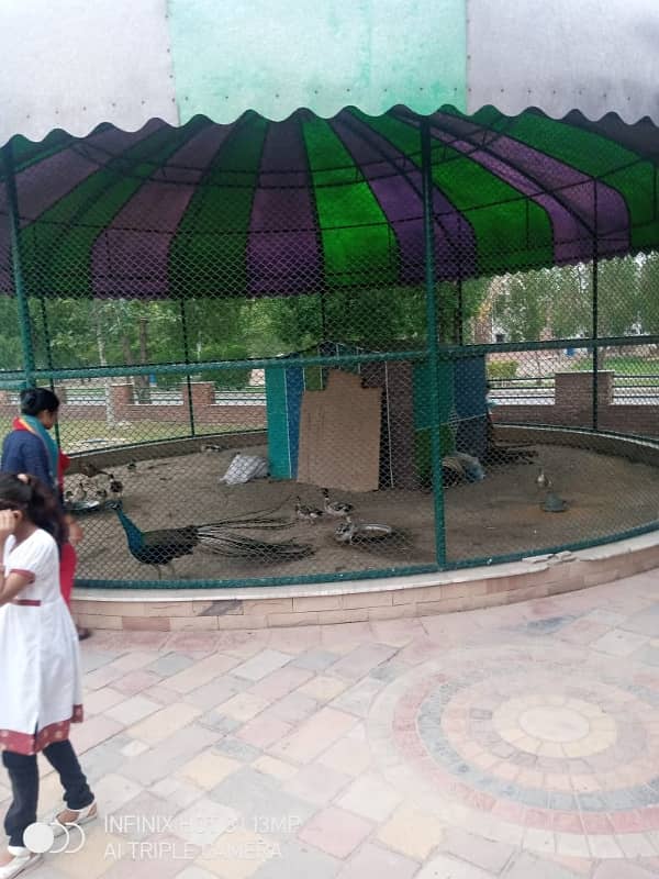 Bahria orchard 5 marla ready to build+all dues clear plot available for sale just 26.50 lac 16