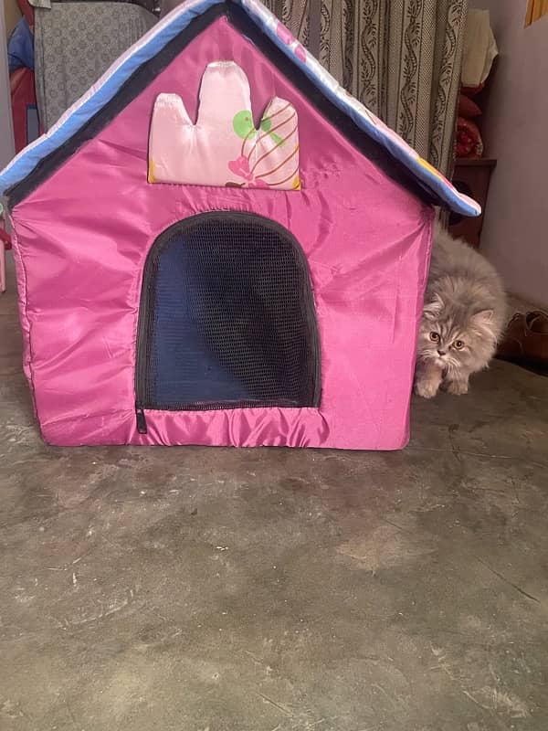 Cat house 0