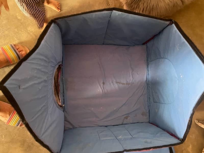 Cat house 3