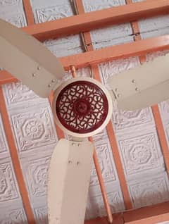 Parwaz