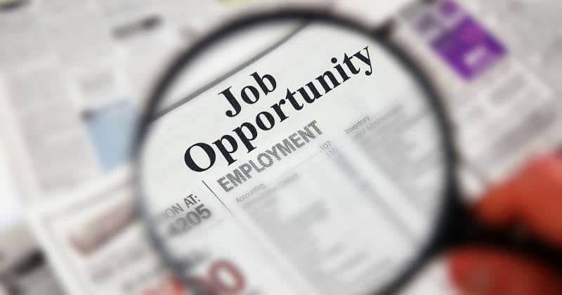 Workers and Riders needed for Our company 0