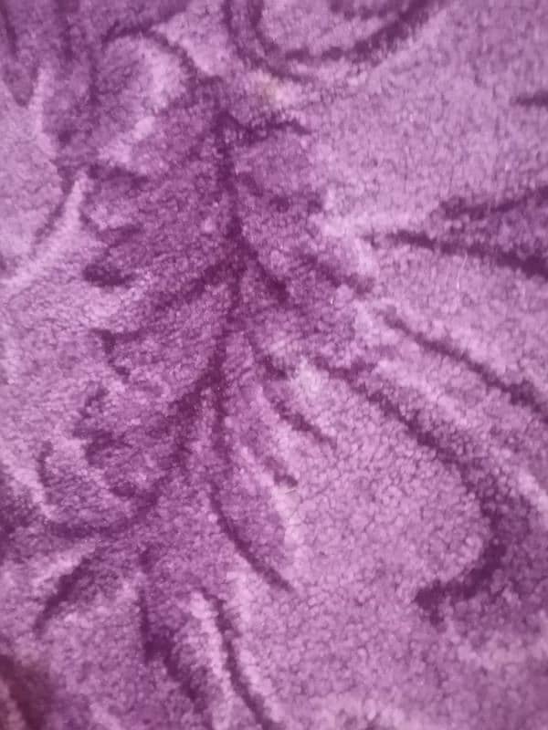 carpet 0