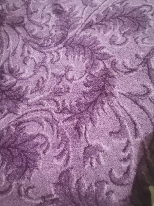 carpet 1