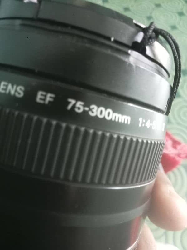 canon 60d 8