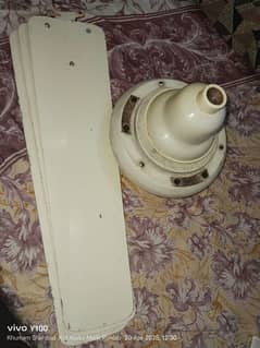 Ceiling