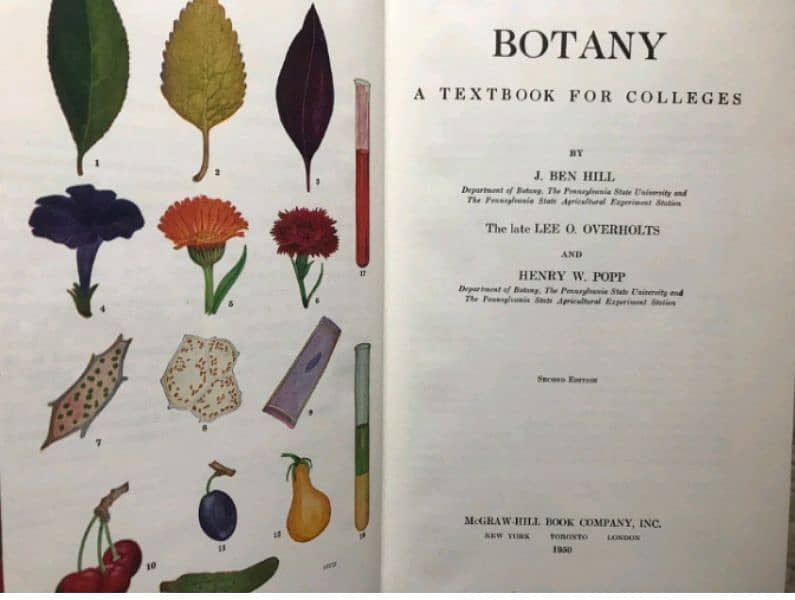 course books 3