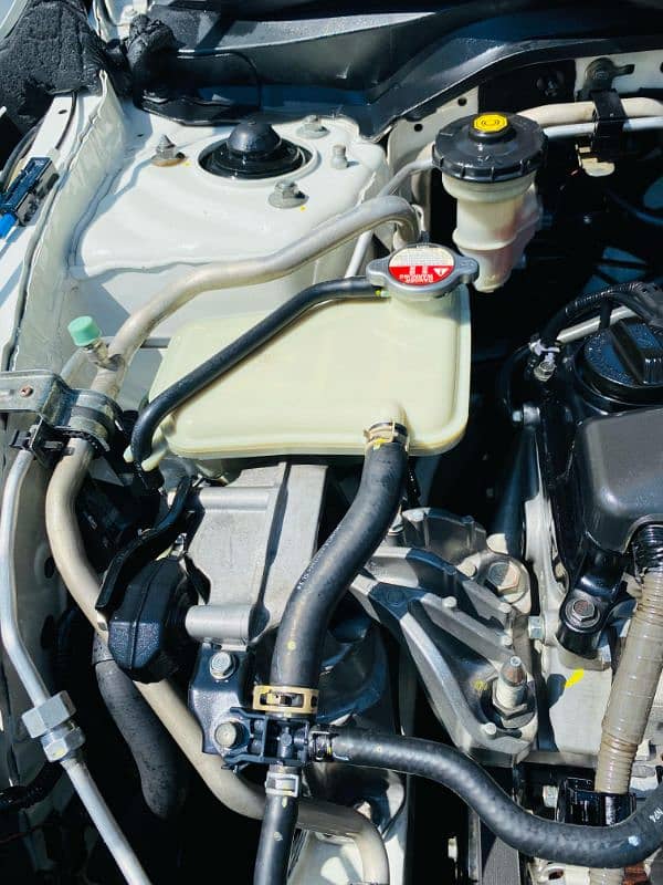 Honda Civic total original scratchless 11