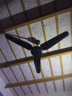 Ceiling