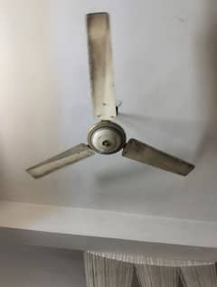 Ceiling
