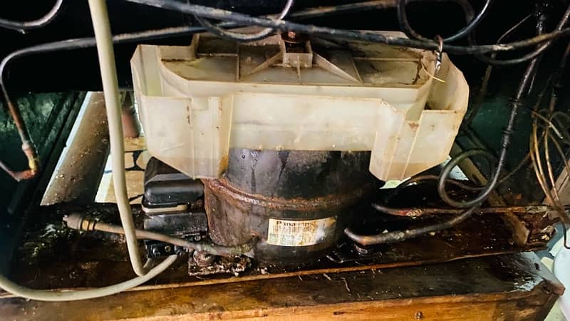 PEL fridge Model PRD 145 Refrigerator full siza in good condition 1