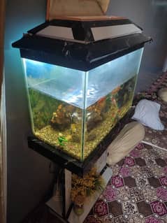 aquarium