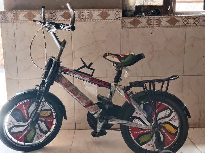 Universal bicycle 0