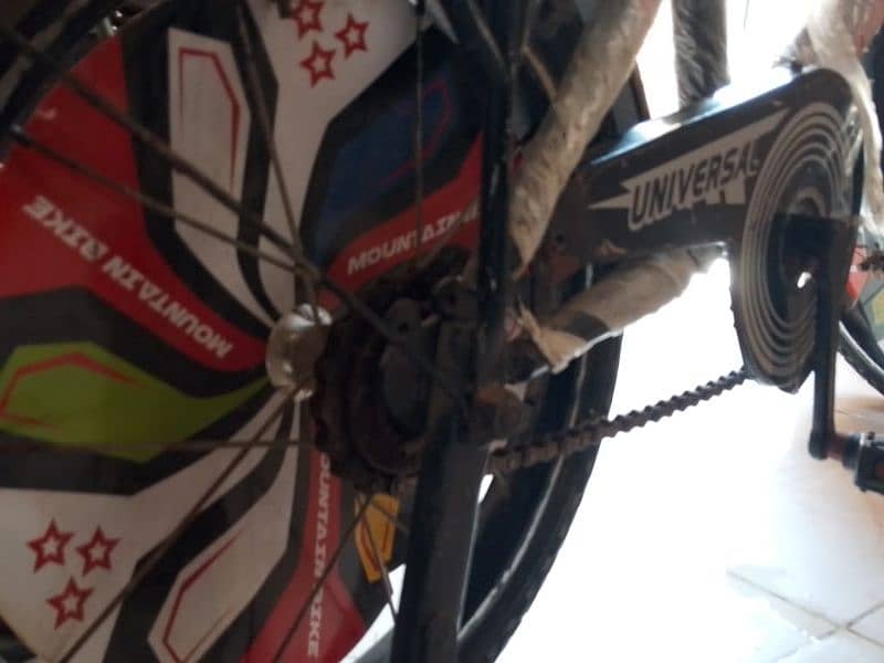 Universal bicycle 2
