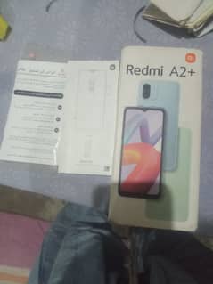 03089362517