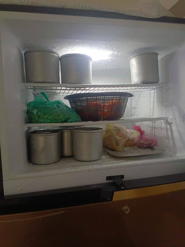 dawlance refrigerator chrome jambu size 1