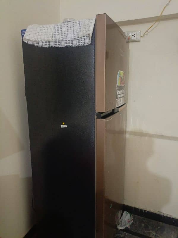 dawlance refrigerator chrome jambu size 6
