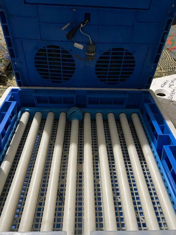 incubator Fully automatic 3