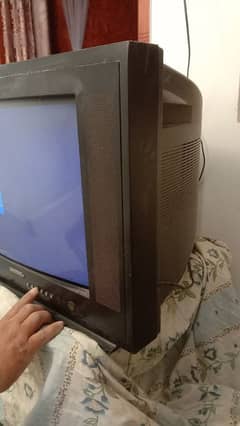 TV