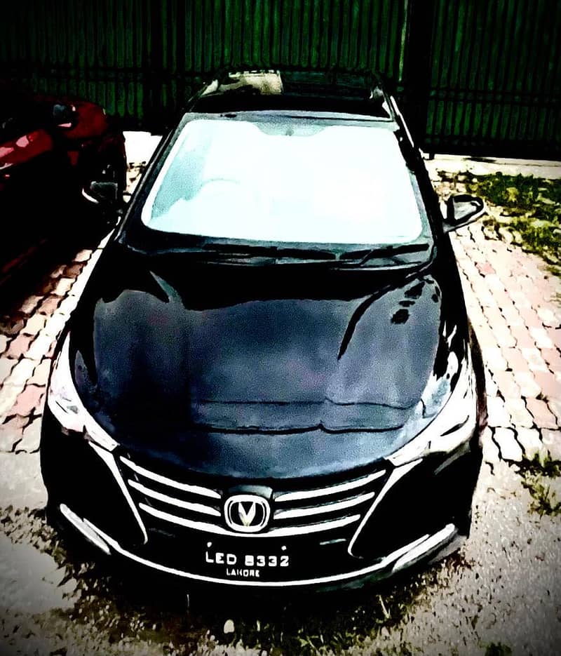 Black Alsvin 2023 unregistered 2