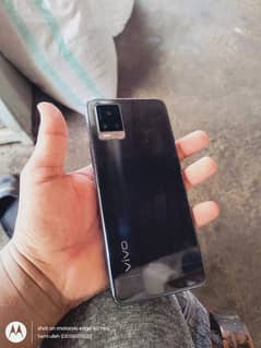 vivo