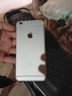 03160070681