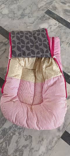 New born carrier/bister