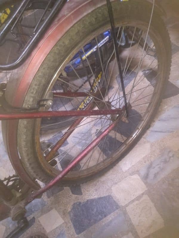 bicycle 1