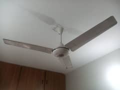 ceiling fan 5 Nos.