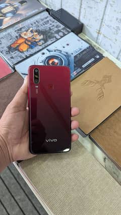 Vivo